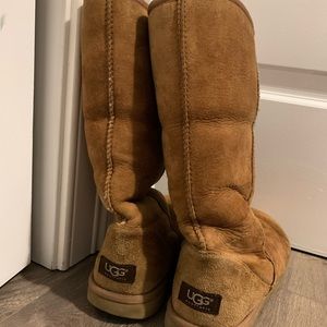 Tall Chestnut Uggs